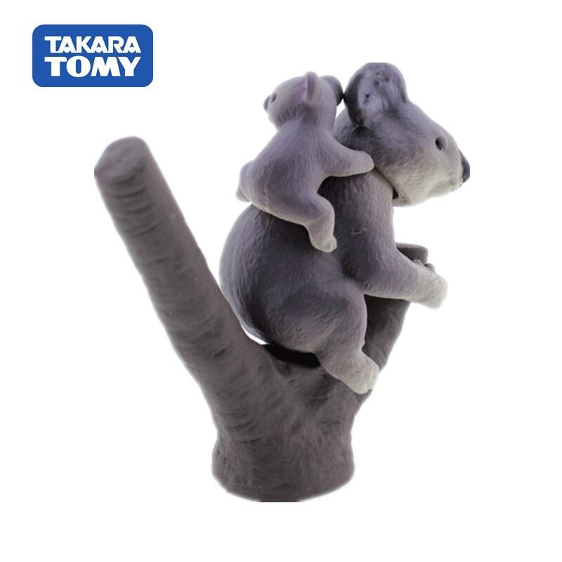 Takara