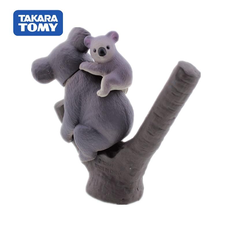 Takara