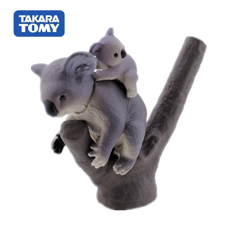 Takara