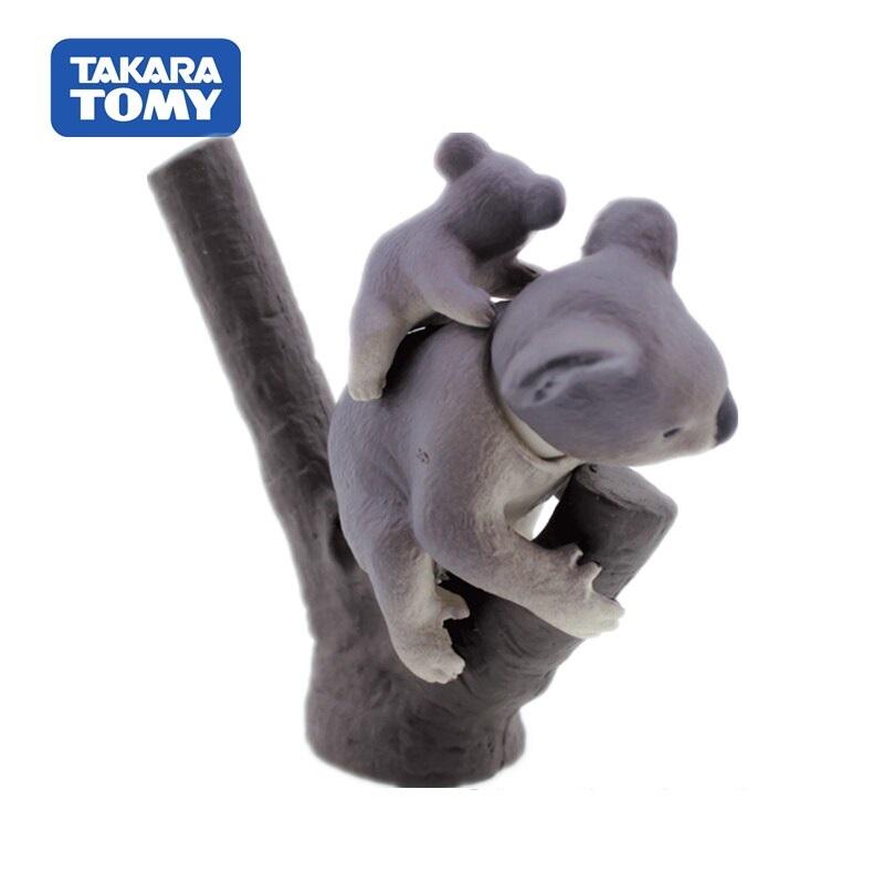 Takara